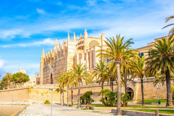 Palma